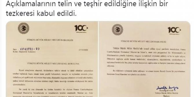 TBMM'de, Fransa'ya tepki tezkeresi kabul edildi