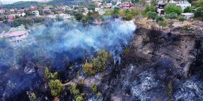 Hatay'daki orman yangınına müdahale sürüyor