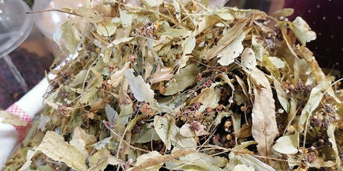 Ihlamurun fiyatı da, satışı da arttı