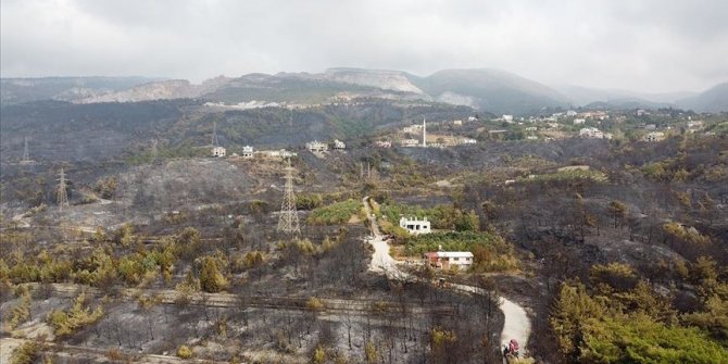 Hatay'daki orman yangınında zarar gören alanlar havadan görüntülendi