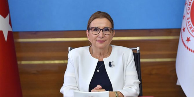 Bakan Pekcan: Türkiye, hedeflerinin arkasında yoluna kararlılıkla devam etmektedir
