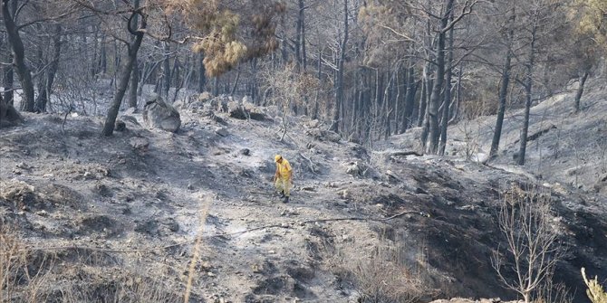 Hatay'daki orman yangınında soğutma çalışmaları tamamlandı