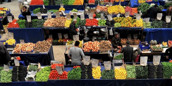 Dondurulmuş meyve ve sebze ihracatında artış