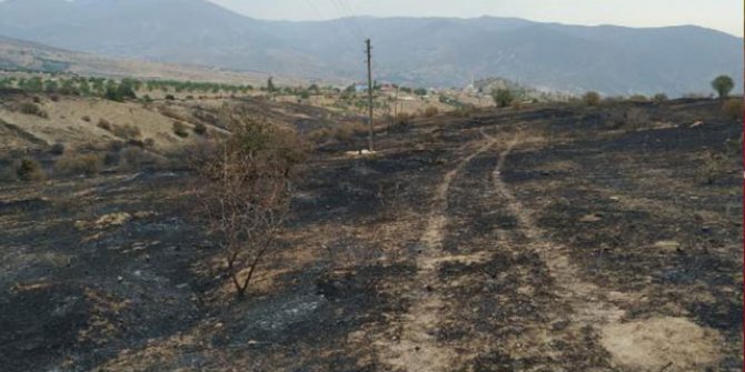 Elazığ'daki yangında 500 dönüm alan zarar gördü, binlerce arı öldü