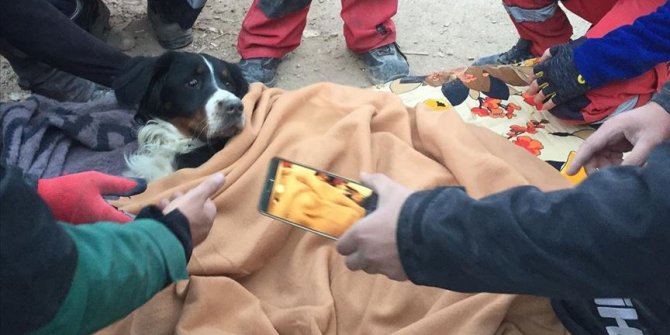 Depremde enkazdan kurtarılan Gizem, köpeği Ares'e kavuştu