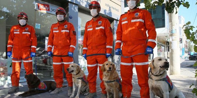 Hassas burunlarıyla enkaz altındakileri hayata bağlıyorlar