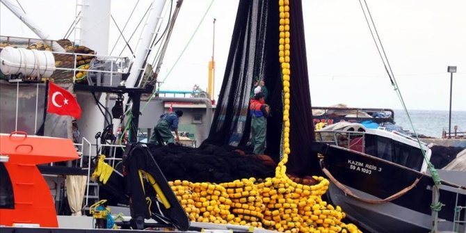 Marmara'da hamsi balıkçının yüzünü güldürüyor