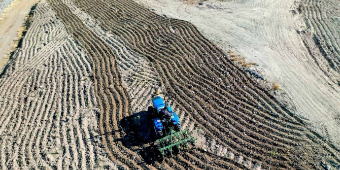 Altındağ'da 20 binden fazla fidan toprakla buluştu