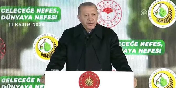 Cumhurbaşkanı Erdoğan: Hedefimiz 2023 yılı sonuna kadar 7 milyar fidanın toprakla buluşmasını sağlamak