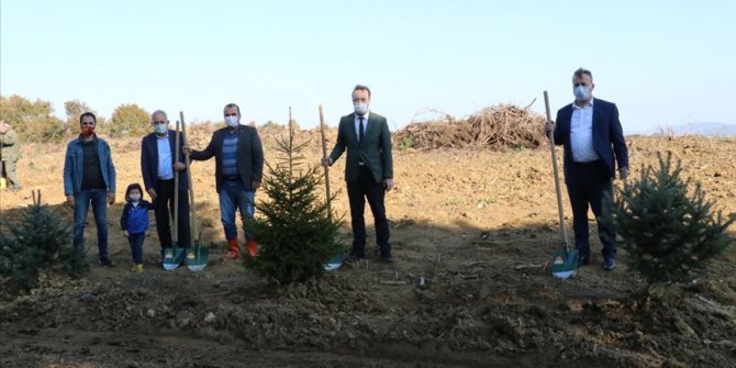 Sakarya'da 'Anadolu Ajansı 100. Yıl Hatıra Ormanı' oluşturuldu
