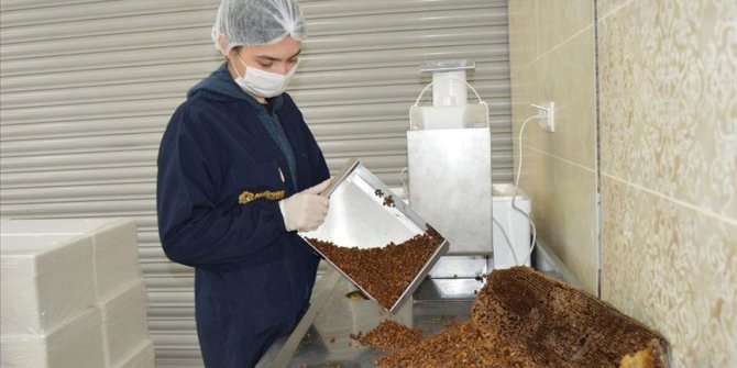 Afyonkarahisar'da bal peteklerinden üretilen 'arı ekmeği' talep görüyor
