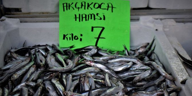 Kilosu 7 liraya düşen hamsiye büyük ilgi
