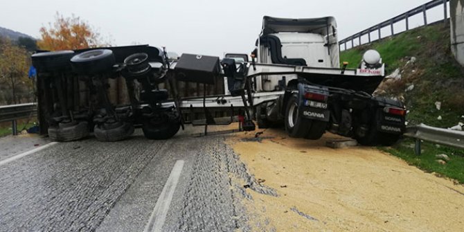 Devrilen TIR'ın sürücüsü yaralandı, tonlarca buğday yola saçıldı
