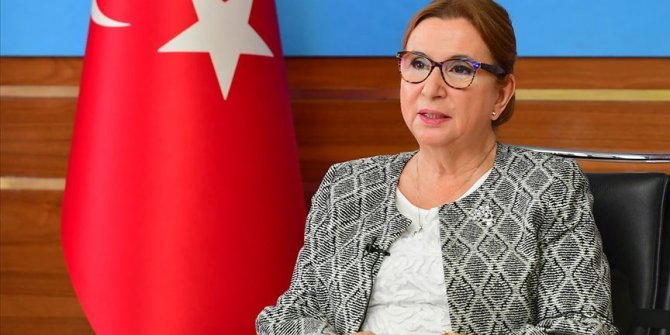 Ticaret Bakanı Ruhsar Pekcan'ın annesi vefat etti