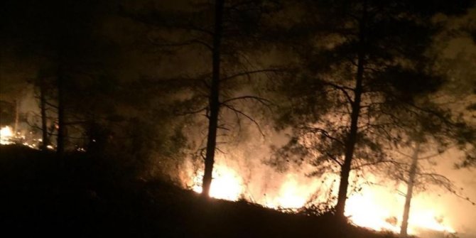 Hatay'da çıkan orman yangını kontrol altına alındı
