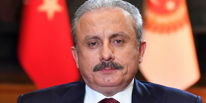 Şentop, Pompeo'nun Batı Şeria'daki yasa dışı yerleşim birimine yaptığı ziyareti kınadı
