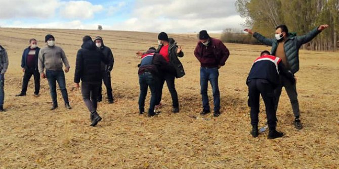 Yozgat'ta köpek dövüşü organize eden 8 kişi yakalandı