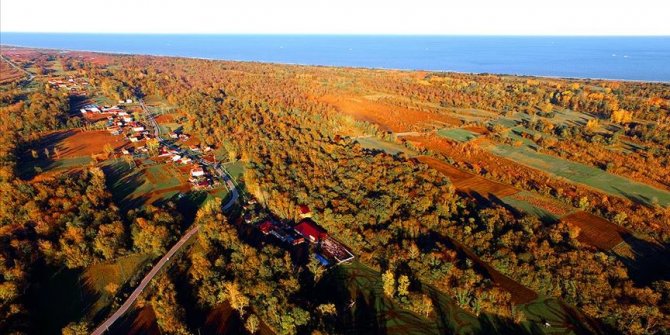 Kızılırmak Deltası Kuş Cenneti'nde sonbahar manzaraları