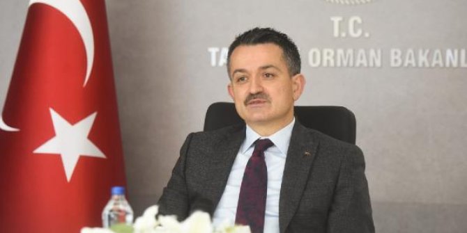Bakan Pakdemirli: Pandemiye rağmen ihracatımız yüzde 6,3 artış gösterdi