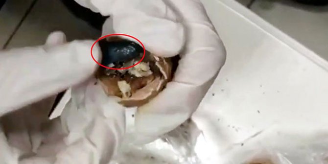 Uyuşturucuyu ceviz içine gizlemiş
