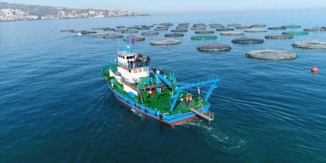 Karadeniz somonuna en çok Rusya rağbet gösterdi