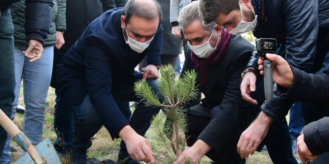 Gençliğe özel hatıra ormanı