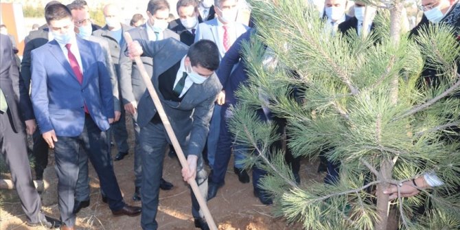 Ülkü Ocaklarından fidan dikim seferberliği