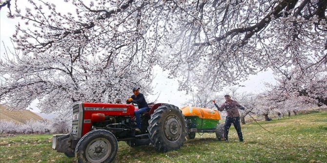 Bitki karantinası tazminat desteği uygulama esasları belli oldu