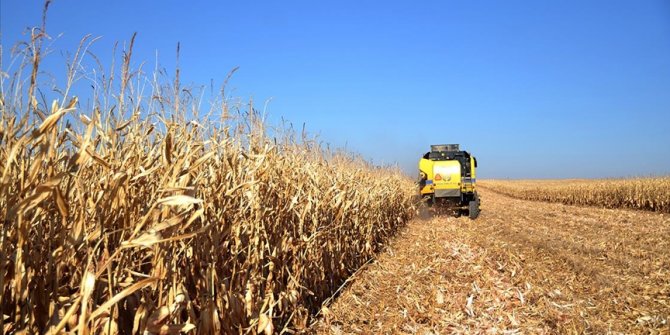 Türkiye'de tarımsal üretimin sigortası: Konya Ovası