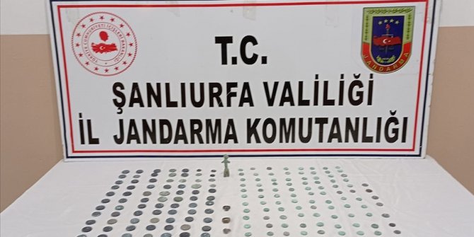Şanlıurfa'da Helenistik ve Roma dönemine ait 243 parça tarihi eser ele geçirildi