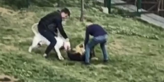 Küçükçekmece’de pitbull dehşeti kamerada...