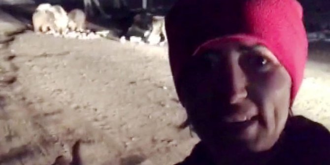 İlçe merkezine inen ayı ve yavrularıyla selfie