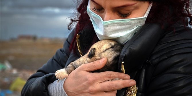 Konya'da kulübesi yakılarak telef edilmiş 9 yavru köpek bulundu