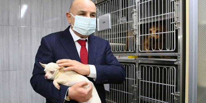 Ankara'da el konulan 77 köpeği sahiplenmek için rekor başvuru