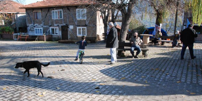 Koronavirüsün görülmediği köyden arsa satın almak istiyorlar 