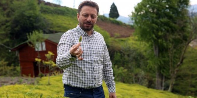 AK Parti'li Avcı, koronavirüse yakalandı
