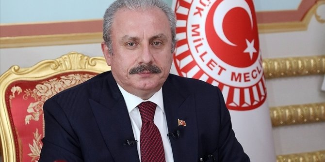 TBMM Başkanı Şentop, Resulayn'daki şehitler için Allah'tan rahmet diledi