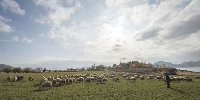 Tunceli'deki göçerlerin kışlaklarda zorlu yaşamı