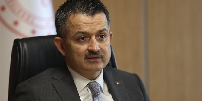 Bakan Pakdemirli: İpek böceği ve tiftik desteklemeleri ödemelerine başlıyoruz