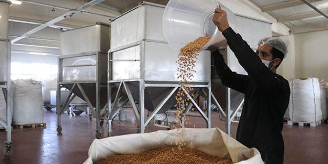 Yılbaşı öncesi kuru yemişte yüzde 400 talep patlaması 