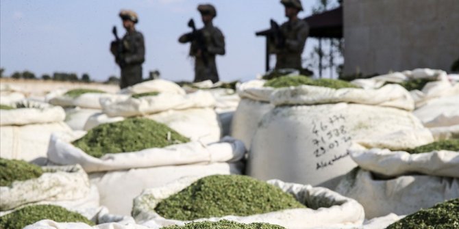 Diyarbakır'ın Lice ilçesi kırsalında 1 ton 16 kilogram esrar ele geçirildi
