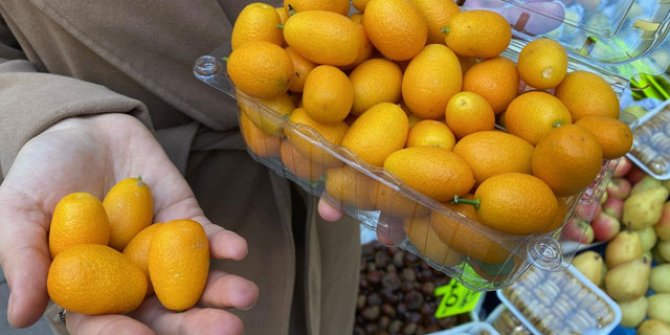 'Altın portakal' kamkata talep arttı