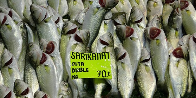 Çanakkale'de restoranlar kapalı, balık fiyatları düşük