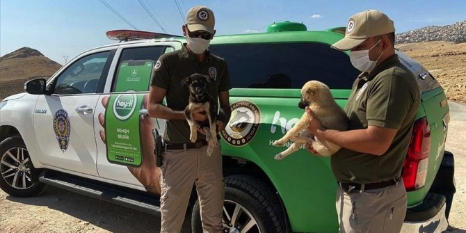 Çevre, doğa ve hayvanları koruma polisleri Mardin'de görev başında