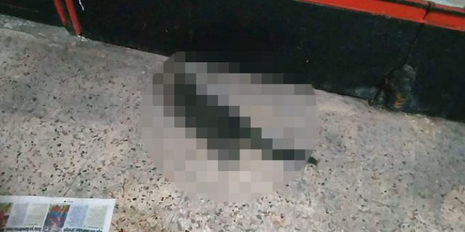 Gölcük'te vahşet: Pasaj içinde 4 bacağı kesilmiş ölü kedi bulundu