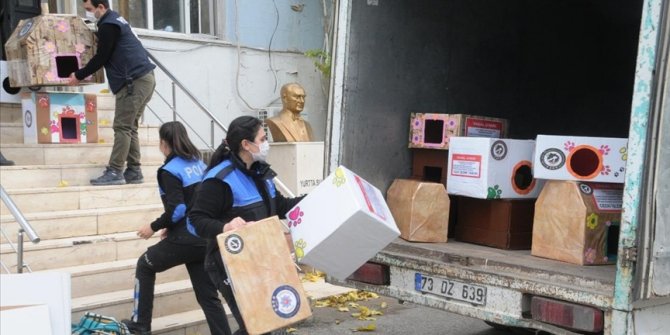 Cizre'de polis, sokak hayvanları için kedi ve köpek evleri yaptı