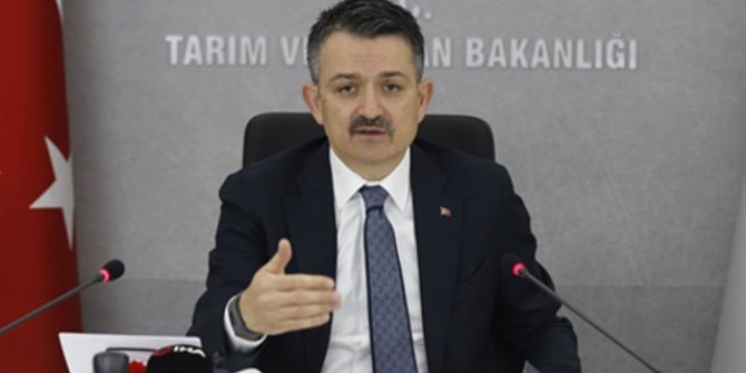 Bakan Pakdemirli: Balıkçılara 13,7 milyon lira destek ödemesini bugün yapacağız