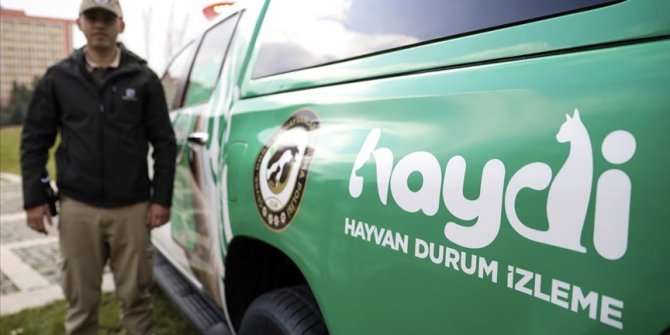 Çevreye ve hayvanlara zarar verenlere 5 ayda 1,5 milyon lira ceza kesildi