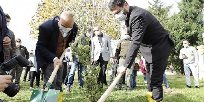 2020 yılında Kağıthane’ye bin 531 ağaç dikildi