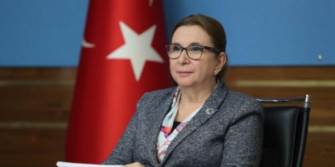 Bakan Pekcan: İngiltere ile kendi anlaşmamızı imzalamak için gayret gösteriyoruz